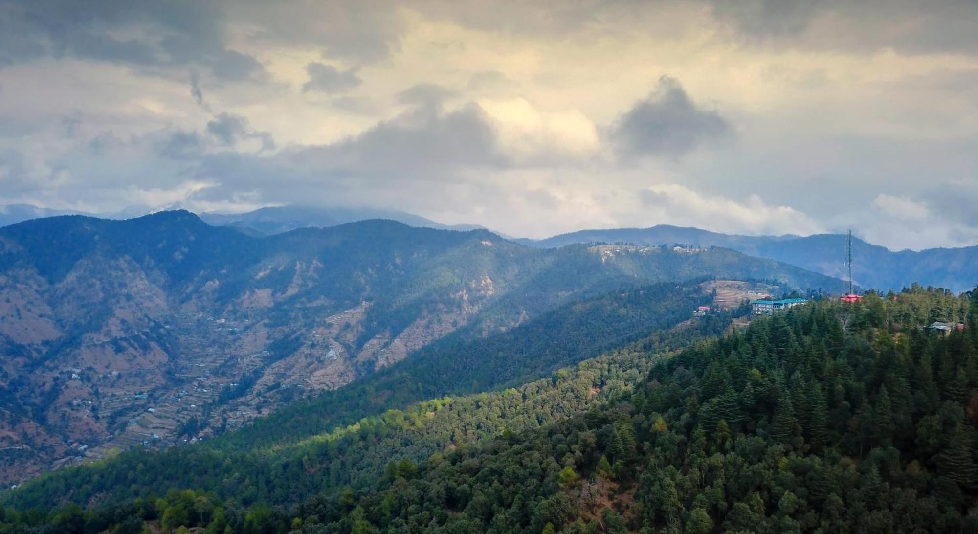 Treehouse Chail Villas Dış mekan fotoğraf